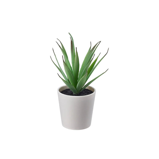 Clay Plant Pot